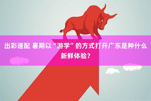 出彩速配 暑期以“游学”的方式打开广东是种什么新鲜体验？